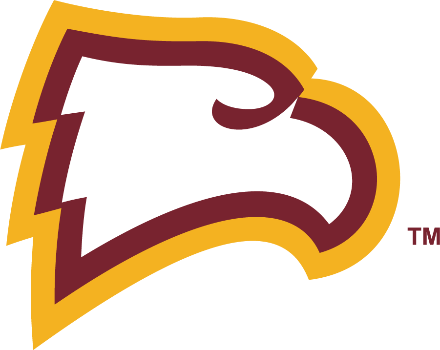 Winthrop Eagles 2020-Pres Primary Logo DIY iron on transfer (heat transfer)